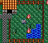 Olhem ali uns chicken legs! Estes parecem ser domésticos!